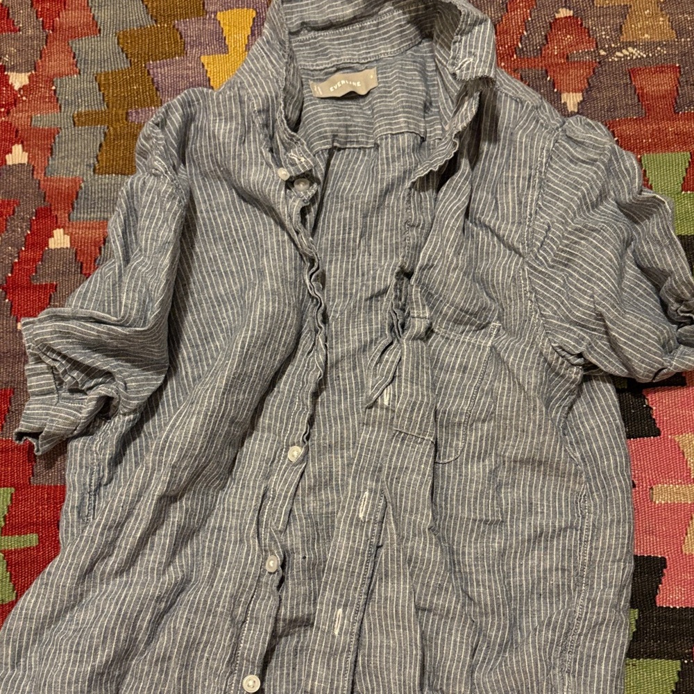 Everlane Blue Striped Button-Down Shirt